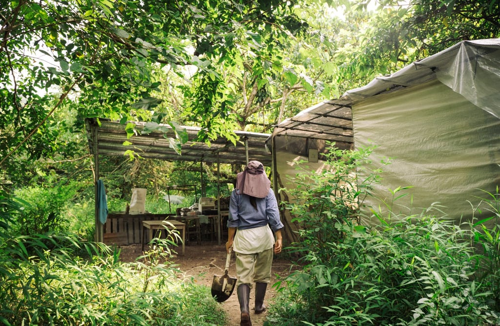 Kit-ching’s farm in Nam Chung, Hong Kong, is filled with grapes, perfume lemons and limequats. Photo: Alexander Mak