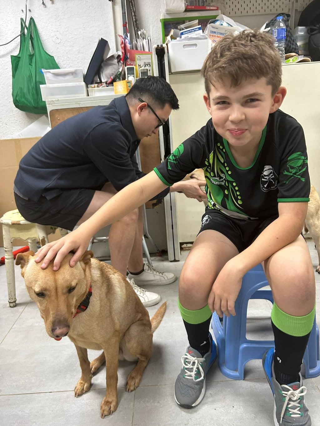 Loyal – later renamed Luccio – immediately bonded with Lili Gleason’s family. Photo: courtesy Lili Gleason