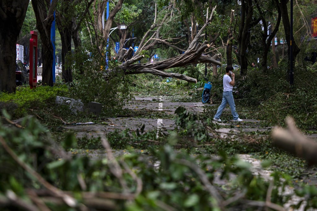 In Yangjiang, Guangdong province, fallen trees and debris are among damage from Super Typhoon Ragasa visible on Thursday. Photo: EPA In Yangjiang, Guangdong province, fallen trees and debris are among damage from Super Typhoon Ragasa visible on Thursday. Photo: EPA