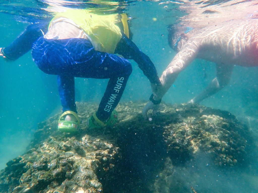 Tourists trample corals and dig coastal organisms on Sharp Island. Photo: Handout Tourists trample corals and dig coastal organisms on Sharp Island. Photo: Handout