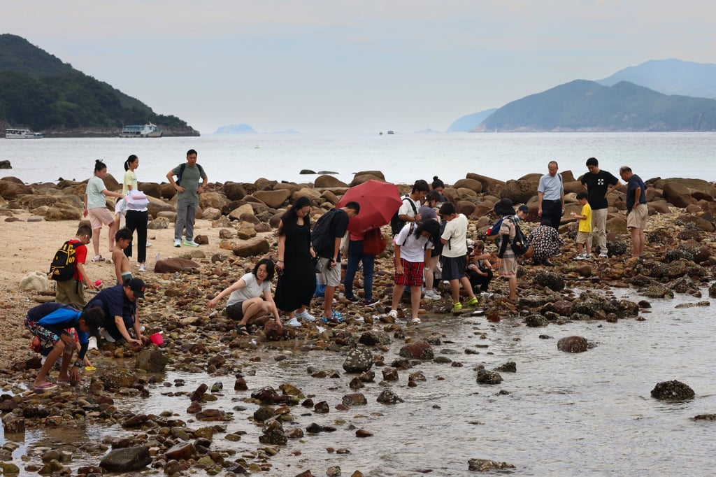 Some tourists had removed marine creatures washed ashore. Photo: Dickson Lee