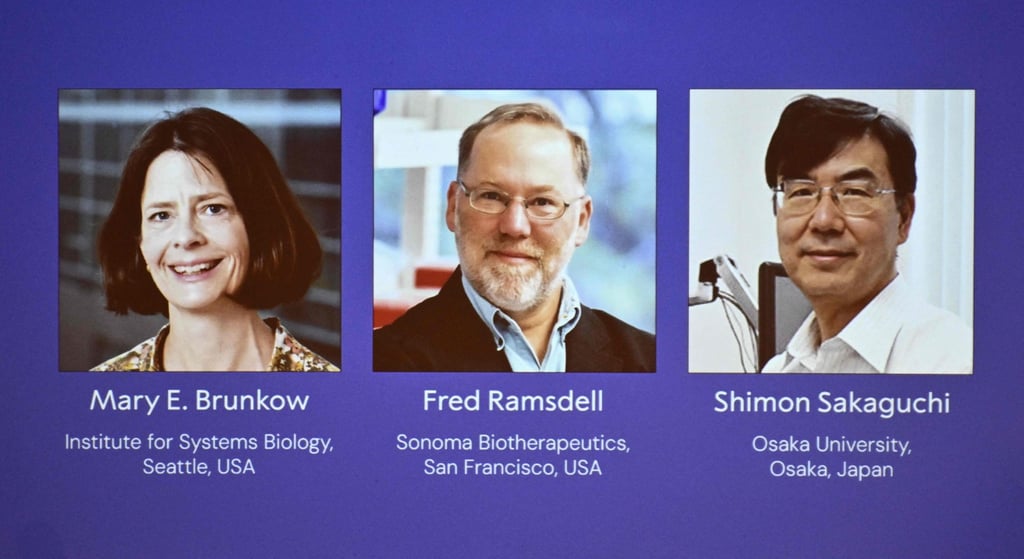 Portraits of Mary E Brunkow, Fred Ramsdell and Shimon Sakaguchi are displayed during a press conference where the winners of the 2025 Nobel Prize in Medicine were announced in Stockholm, Sweden, on Monday. Photo:AFP