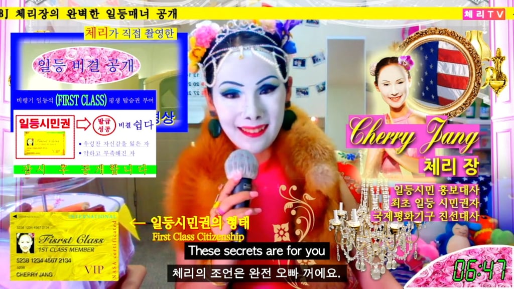 A still from the video work BJ Cherry Jang 2018.9, (2018) by Sungsil Ryu, which is showing at the exhibition. Photo: Sungsil Ryu