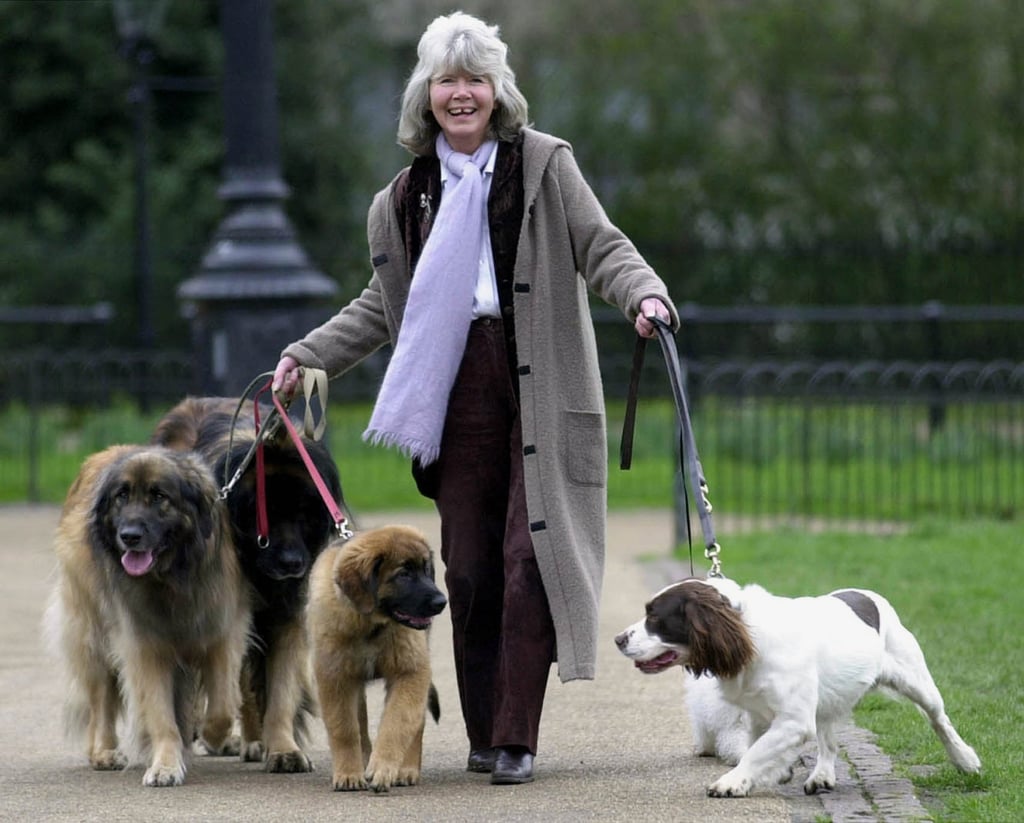 Jilly Cooper in 2002. File photo: PA via AP