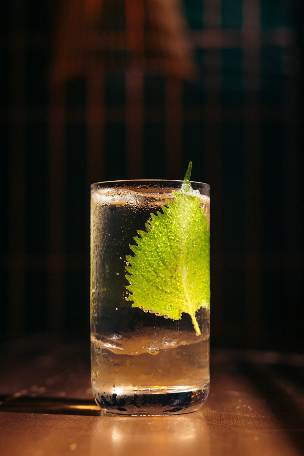 The Tall Pine cocktail at Tell Camellia. Photo: Handout The Tall Pine cocktail at Tell Camellia. Photo: Handout