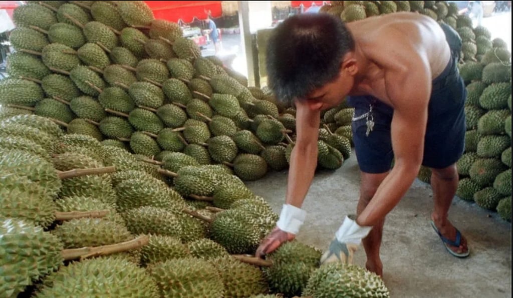 Arnon Rodthong built his fortune from scratch and now owns the largest durian orchard and warehouse in Chumphon province, southern Thailand. Photo: QQ.com