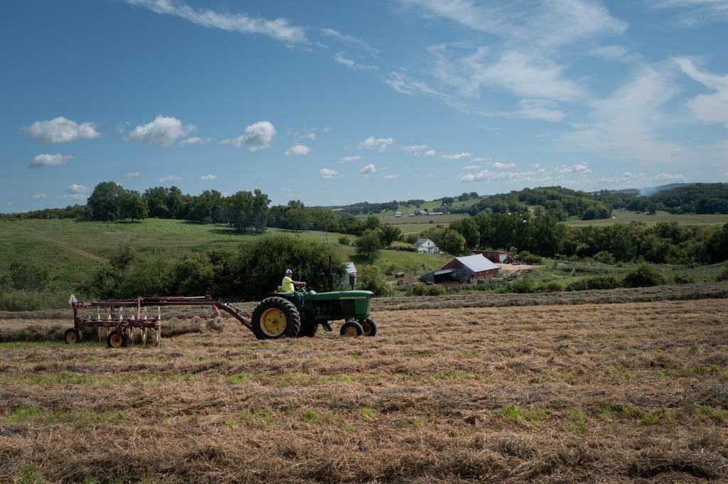 China has yet to purchase any US soybeans this season, diverting orders instead to Brazil and Argentina. Photo: Getty Images China has yet to purchase any US soybeans this season, diverting orders instead to Brazil and Argentina. Photo: Getty Images