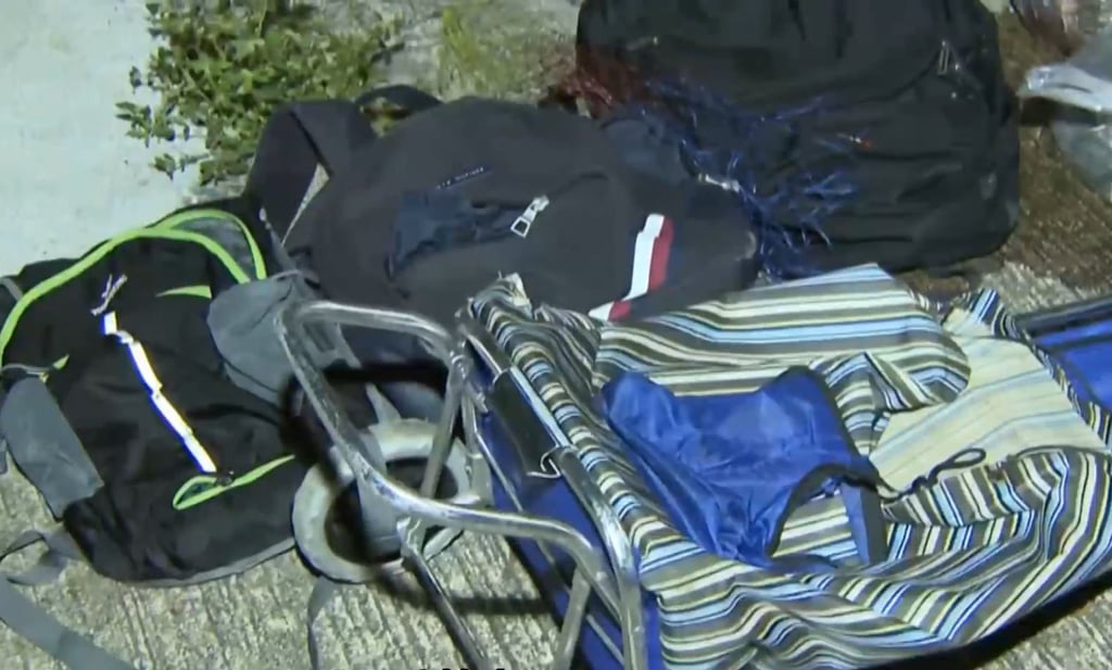 Police found three backpacks and a trolley containing what was believed to be the carcass of wild boars. Photo: Cable News Police found three backpacks and a trolley containing what was believed to be the carcass of wild boars. Photo: Cable News
