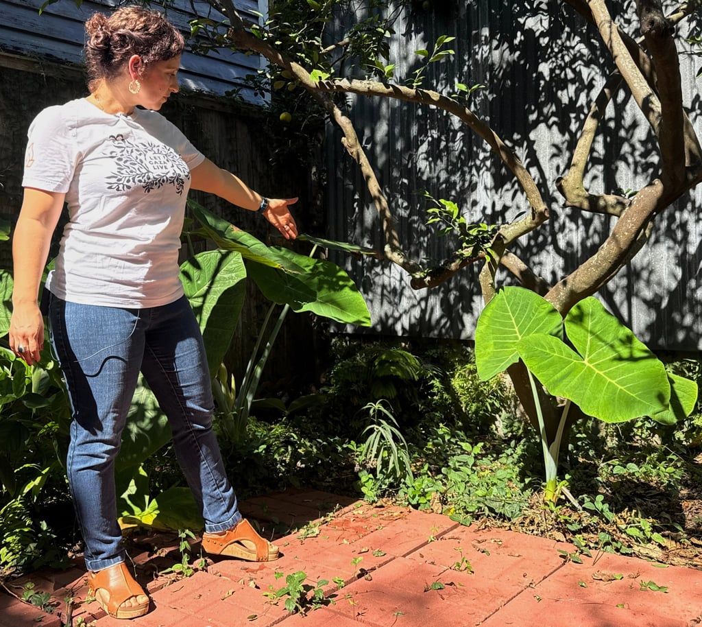 Daniella Santoro points out the spot in her backyard where her family discovered the gravestone on Thursday. Photo: AP Daniella Santoro points out the spot in her backyard where her family discovered the gravestone on Thursday. Photo: AP