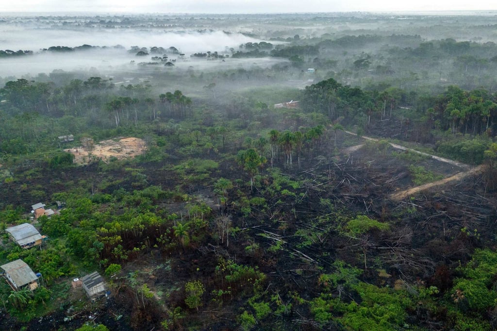 In 2024, forest fires ravaged millions of hectares of the Brazilian Amazon. File photo: AFP