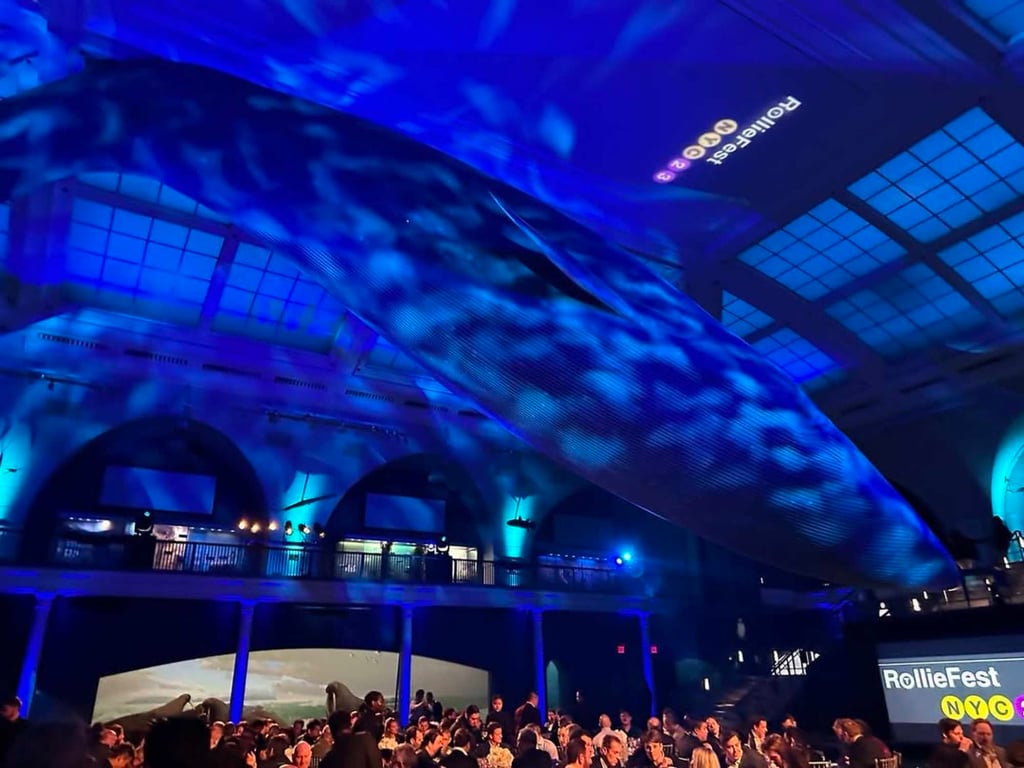 Rolliefest in 2023. Photo: @rolliefest/Instagram