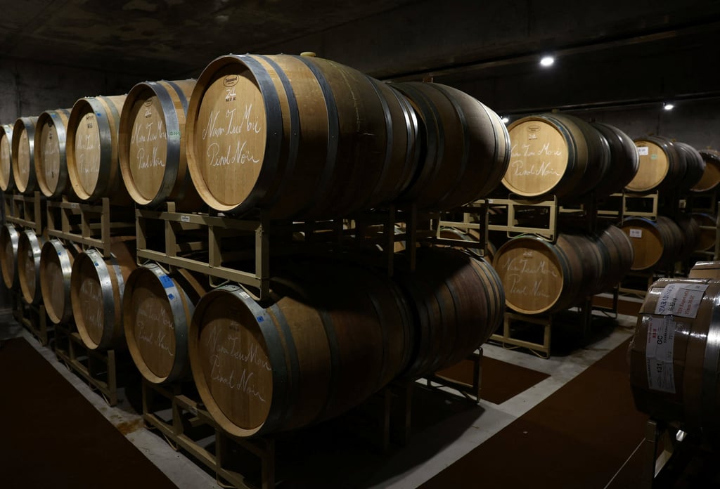 Barrels of pinot noir wine sit inside a newly built underground wine cellar at Domaine Takahiko winery. Photo: Reuters