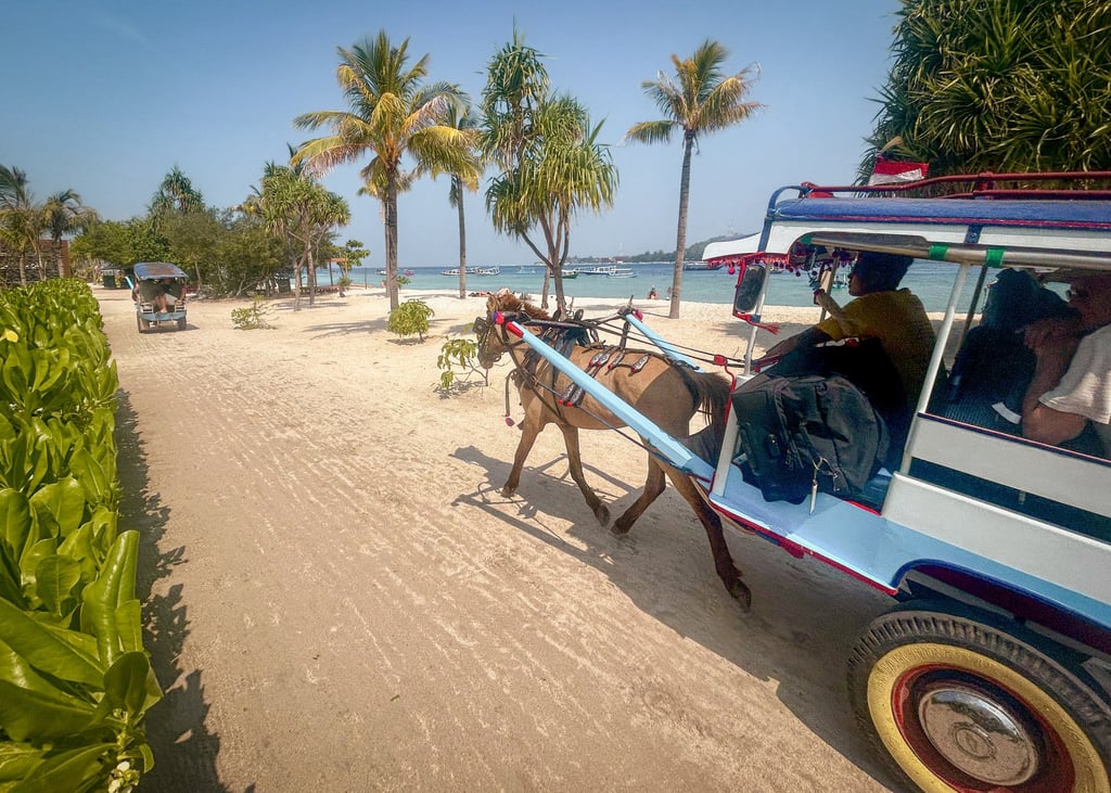 There are no cars on the Gili Islands, only horse-drawn carts. Photo: Ian Lloyd Neubauer
