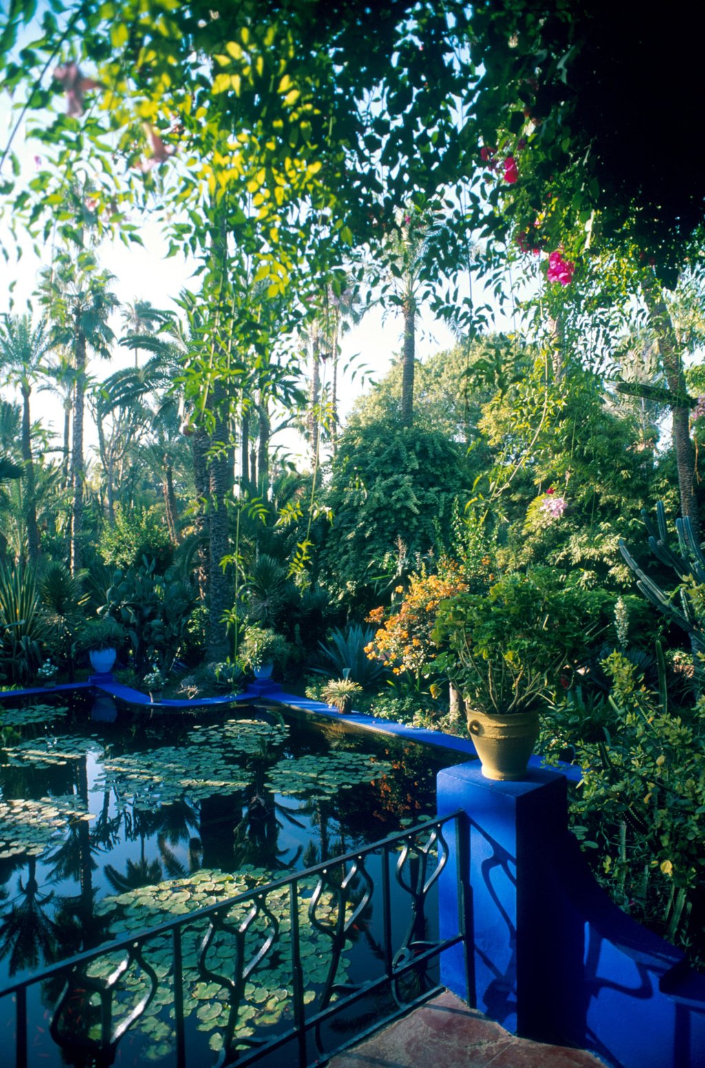 Find inspiration in the tranquil Jardin Majorelle in Marrakech, restored by the late Yves Saint Laurent, and now open to the public. Photo: Getty Images Find inspiration in the tranquil Jardin Majorelle in Marrakech, restored by the late Yves Saint Laurent, and now open to the public. Photo: Getty Images