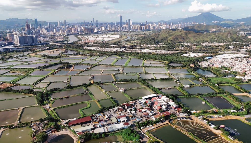 Deep Bay Wetlands Outer Ramsar Site, with San Tin on the right. Photo: Jersey Poon
