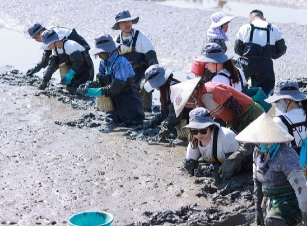 Farmers harvest Duotou clams in Duotou, a village in Putian, in China’s Fujian province. Photo: Putien Restaurant Group