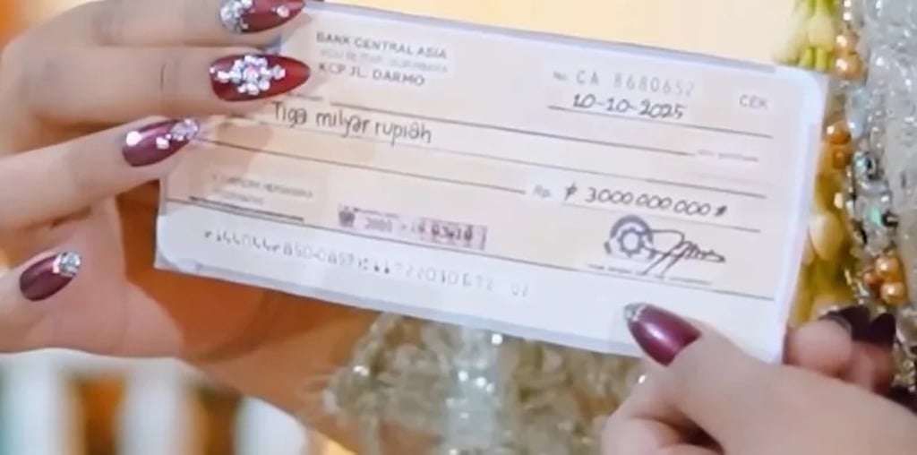 Some people have speculated online that the cheque for the huge amount was a forgery. Photo: TikTok Some people have speculated online that the cheque for the huge amount was a forgery. Photo: TikTok