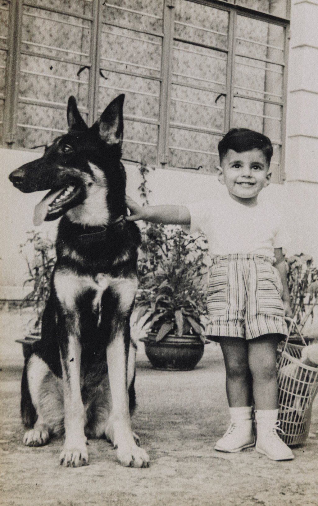 Master and the family pet Rufus, at home in Hong Kong, in 1959. Photo: courtesy Jimmy Minoo Master Master and the family pet Rufus, at home in Hong Kong, in 1959. Photo: courtesy Jimmy Minoo Master