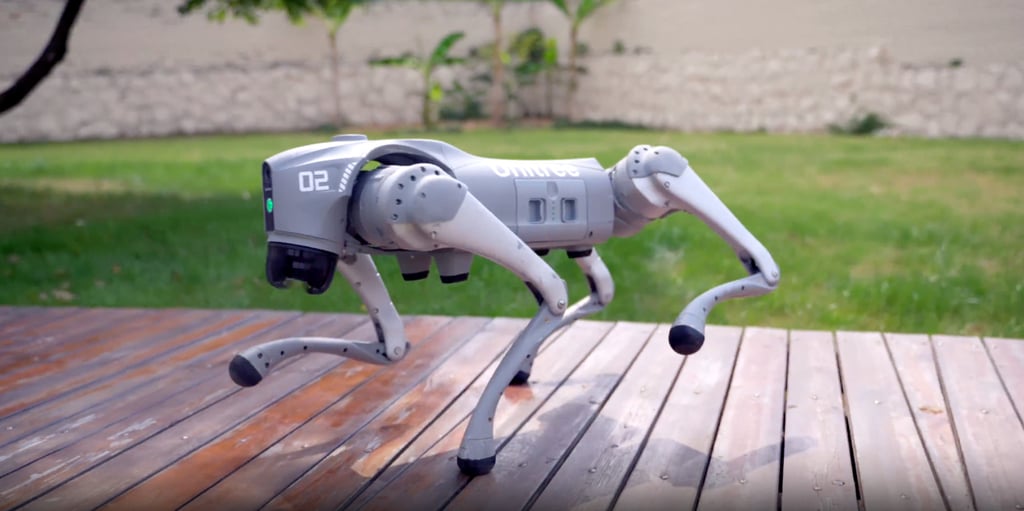 Unitree’s new Go2 robot dog. Photo: Handout Unitree’s new Go2 robot dog. Photo: Handout