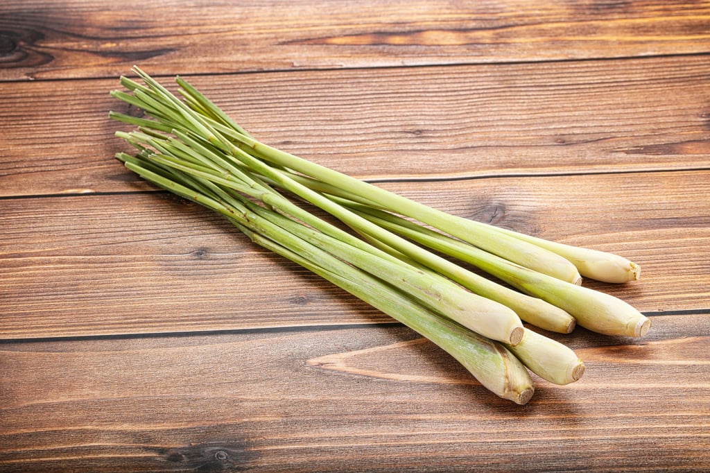 Lemongrass is usually sold as stalks. Photo: Shutterstock Lemongrass is usually sold as stalks. Photo: Shutterstock
