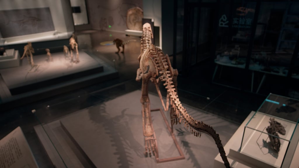Sinosauropteryx was a small, feathered dinosaur that lived around 130 million years ago. Photo: Handout Sinosauropteryx was a small, feathered dinosaur that lived around 130 million years ago. Photo: Handout