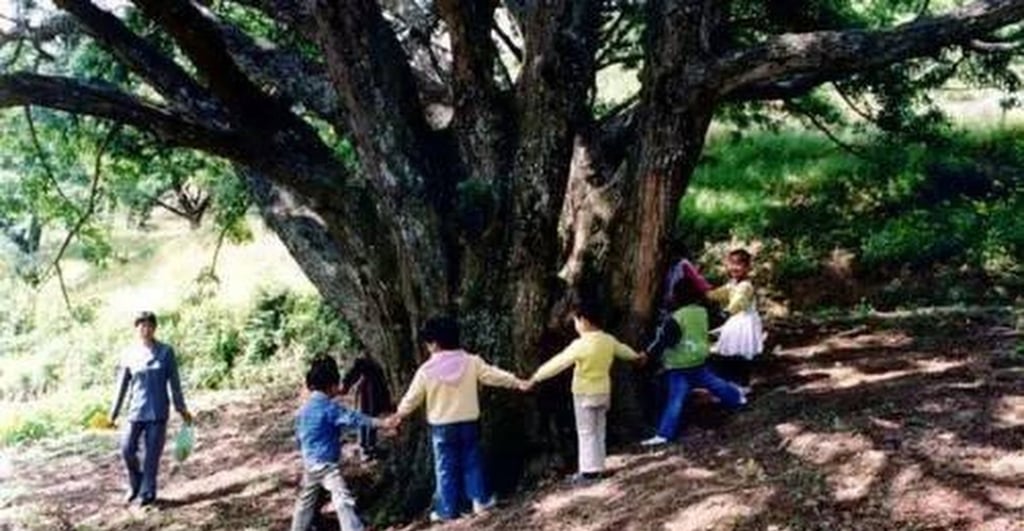 Children from the Gelao ethnic group gather around a “chosen” tree ahead of the ritual. Photo: gxnews.com.cn Children from the Gelao ethnic group gather around a “chosen” tree ahead of the ritual. Photo: gxnews.com.cn