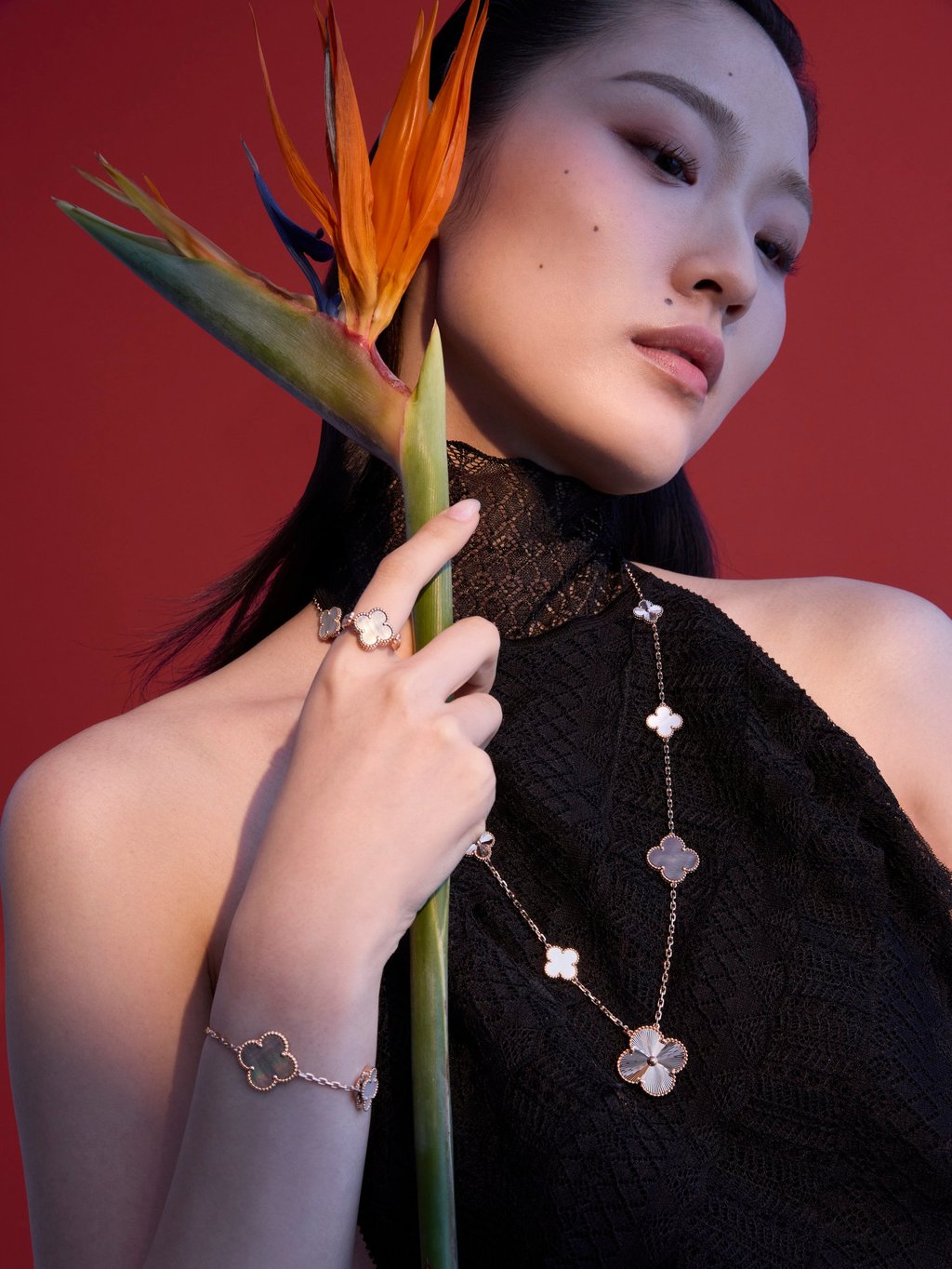 Necklace, bracelet and ring: Van Cleef & Arpels. Dress: Ralph Lauren Collection