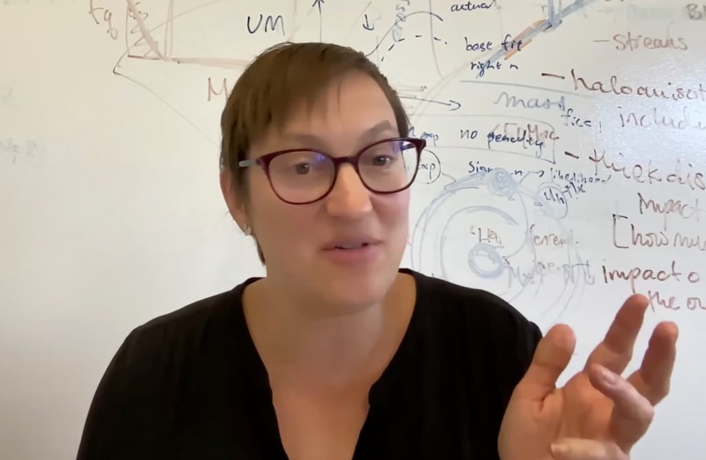 Вычислительный астрофизик Риса Векслер из Стэнфордского университета. Фото: Раздаточный материал