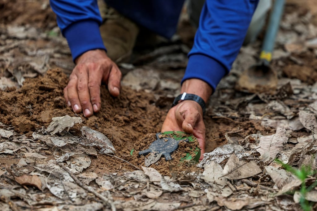 A Thailand Mine Action Centre member finds a PMN-2 mine in Surin Province following a ceasefire with Cambodia in August. Photo: Reuters