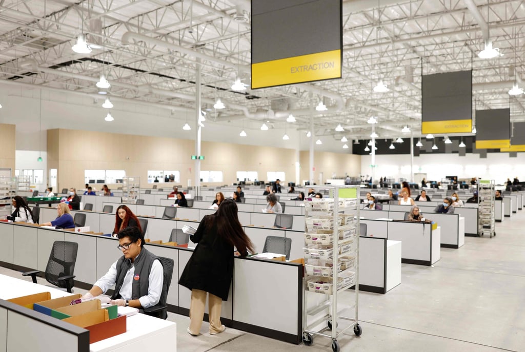 Election workers process ballots. Photo: AFP