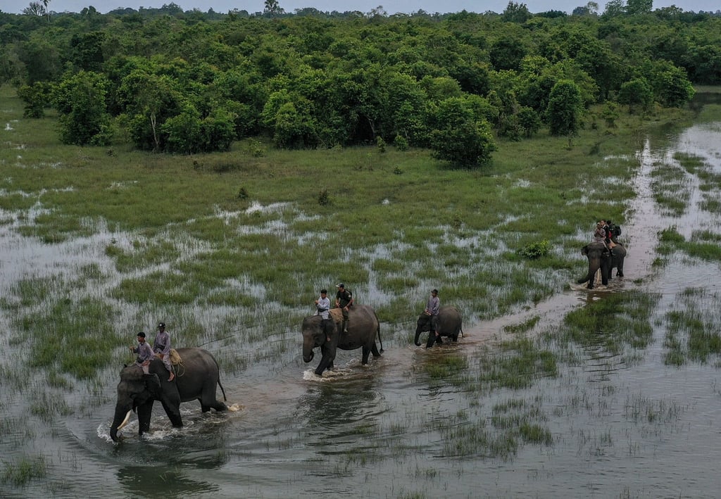 Members of the Elephant Response Unit patrol in the Way Kambas National Park in southern Sumatra. Photo: Garry Lotulung Members of the Elephant Response Unit patrol in the Way Kambas National Park in southern Sumatra. Photo: Garry Lotulung