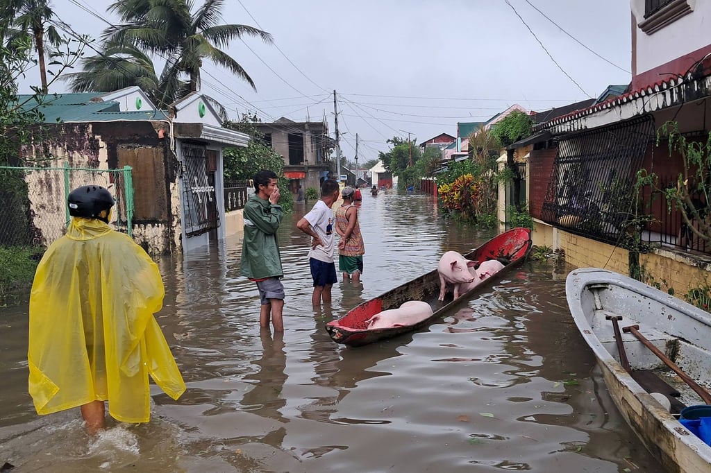 Residents evacuate pigs on a wooden boat amid flooding brought by Super Typhoon Fung-Wong in Pandan, Catanduanes province, Philippines on Sunday. Photo: Pandan Municipal Disaster Risk Reduction and Management Office / AFP / Handout