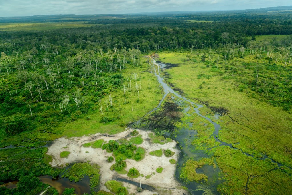 Odzala-Kokoua National Park, Republic of Congo. Photo: Shutterstock Odzala-Kokoua National Park, Republic of Congo. Photo: Shutterstock