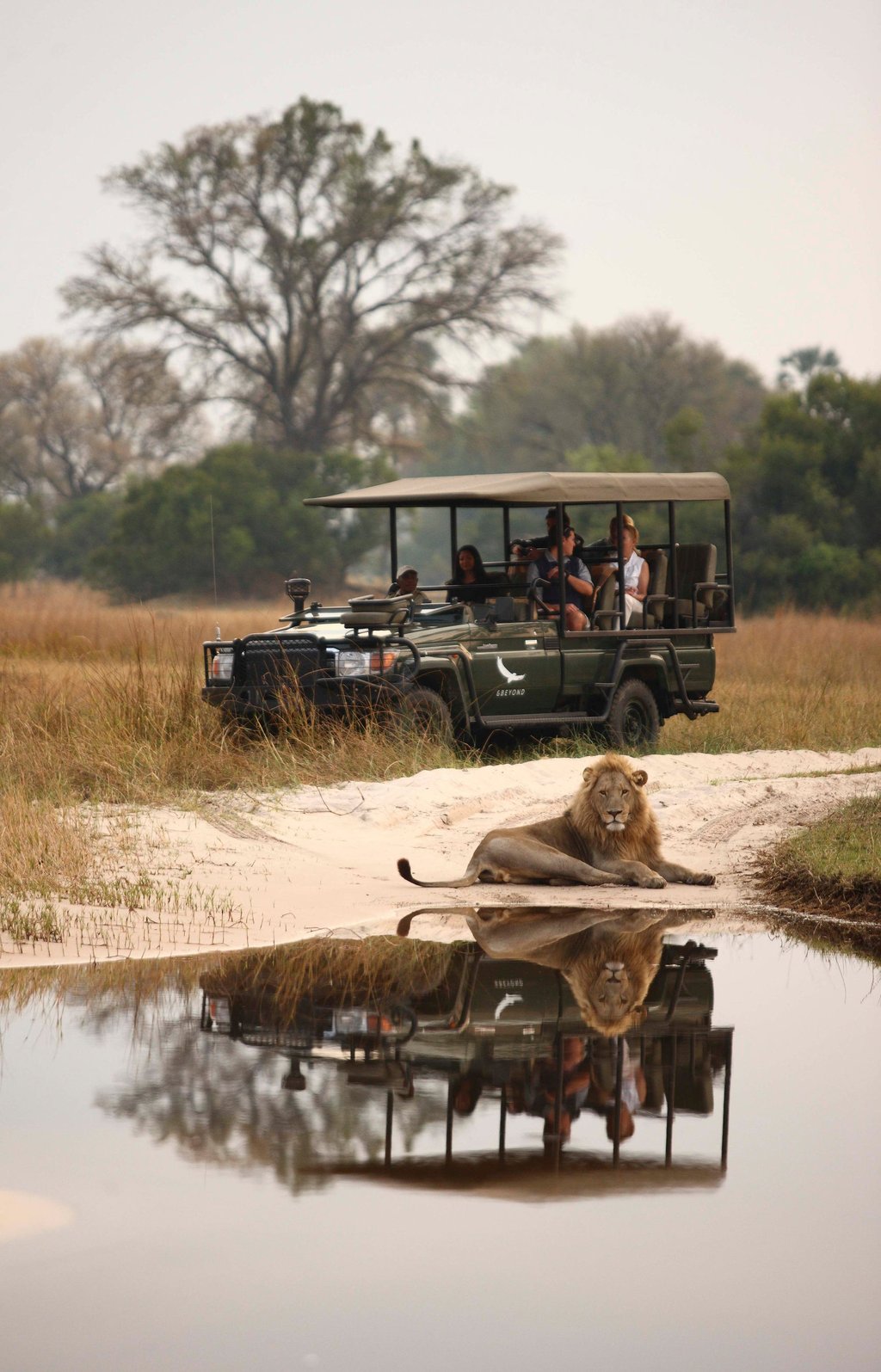 The game drive experience at andBeyond Sandibe Okavango Safari Lodge in Botswana. Photo: Handout The game drive experience at andBeyond Sandibe Okavango Safari Lodge in Botswana. Photo: Handout