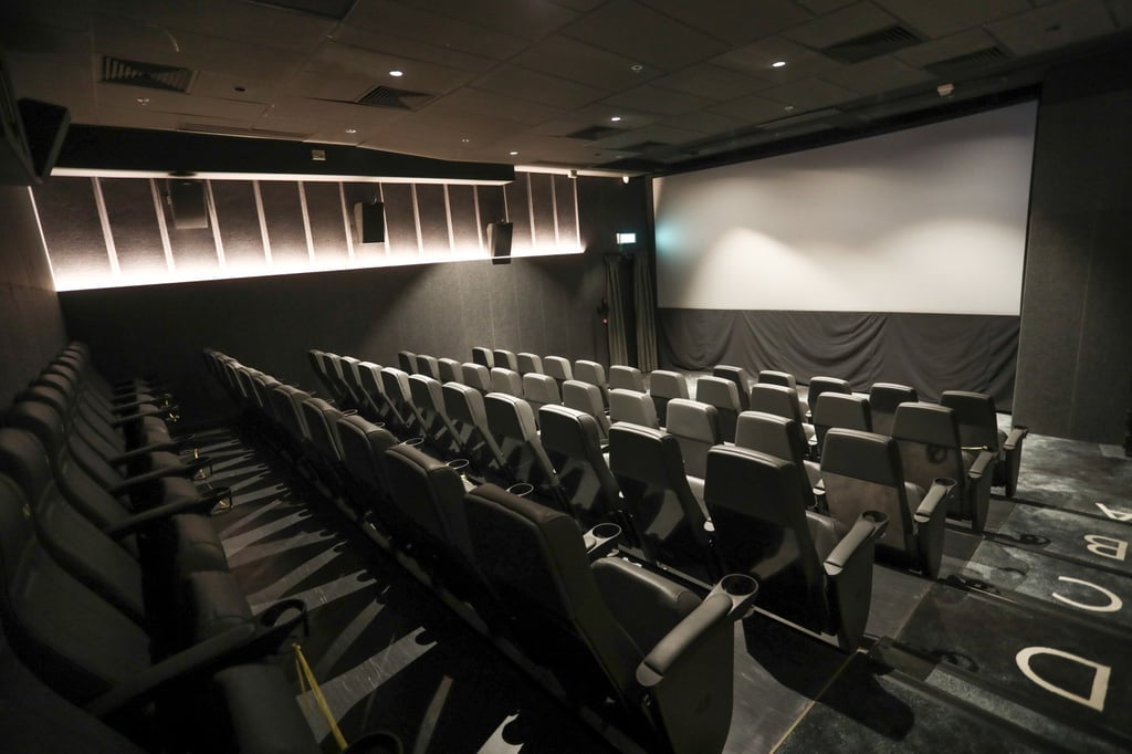 The property being sold on 2 Catchick Street in Kennedy Town is currently optimised for cinema use, but its layout and structure offer flexibility for a wide range of future uses, according to CBRE. Photo: Jonathan Wong