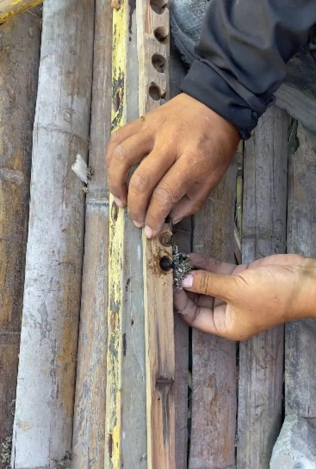 Zhao uses her creativity to start a fire. She lasted 35 days in the wild on an island. Photo: Sina Zhao uses her creativity to start a fire. She lasted 35 days in the wild on an island. Photo: Sina