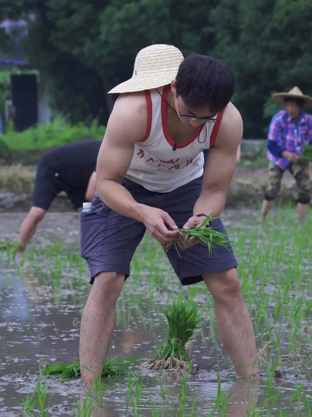 Lin Yangduo gets down to work and shows off his muscular arms in a rice paddy. Photo: QQ.com