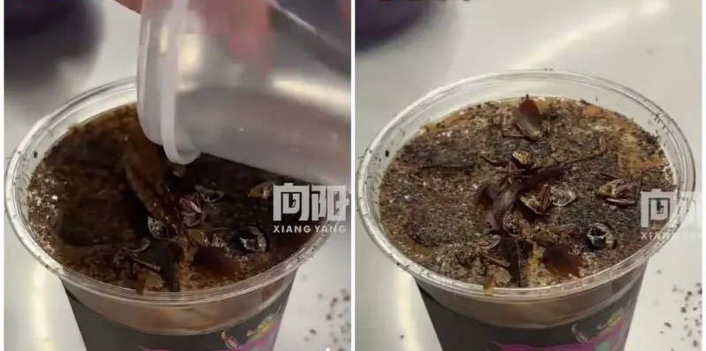 The insect-topped coffee brew is mostly ordered by curious young people. Photo: Weibo