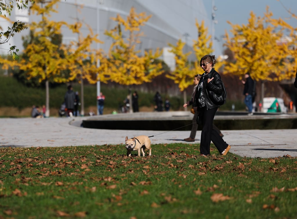 A woman walks her dog at a park in Milan. Visitors to Italy’s South Tyrol region would have had to pay a daily fee to bring their dogs to the province. Photo: Xinhua A woman walks her dog at a park in Milan. Visitors to Italy’s South Tyrol region would have had to pay a daily fee to bring their dogs to the province. Photo: Xinhua