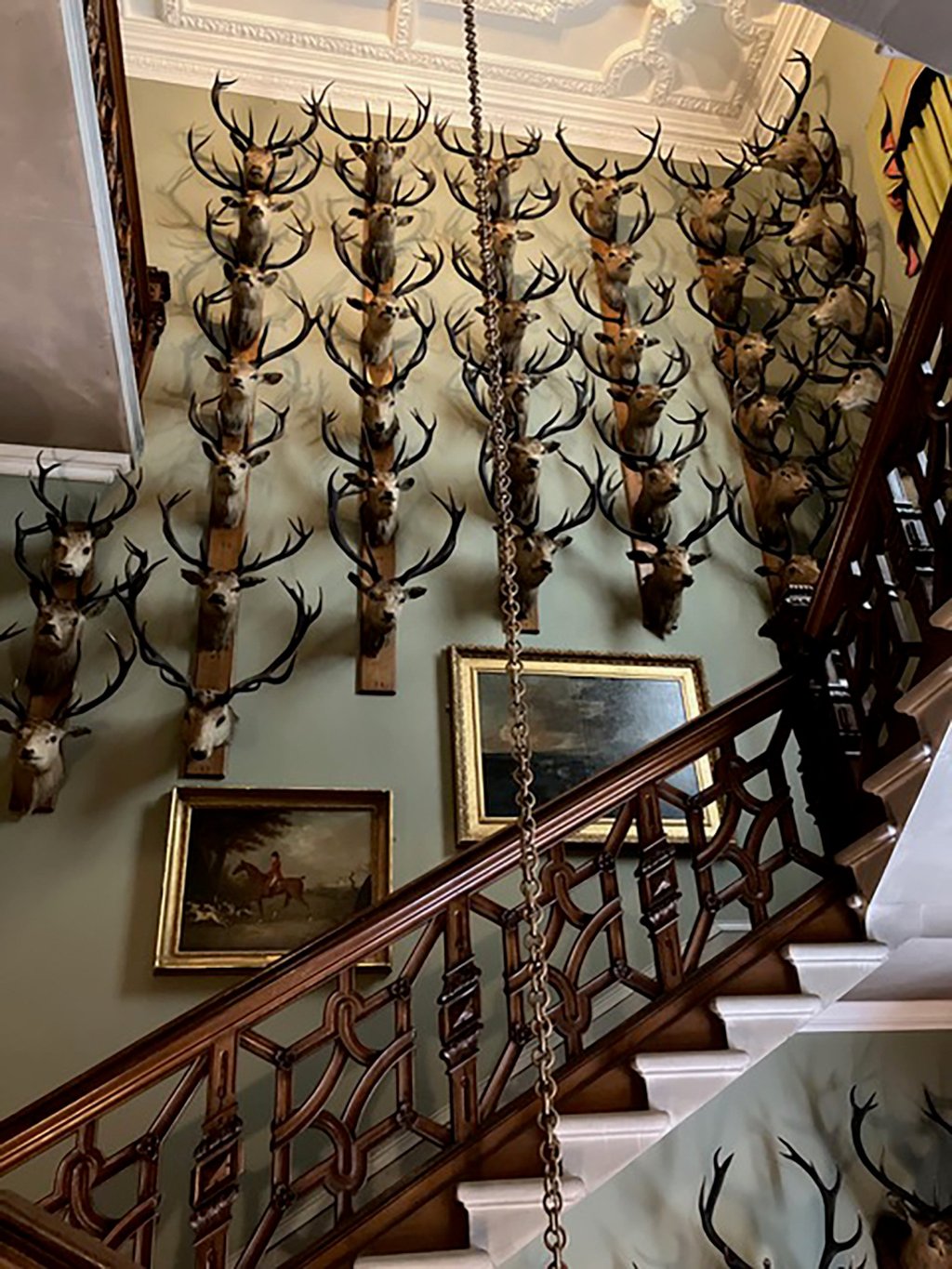 Stag heads line a wall at Brodick Castle on the Isle of Arran in Scotland. Photo: TNS