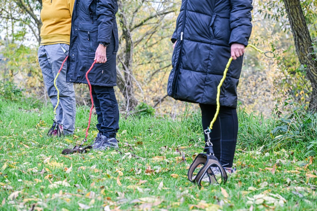 People in Germany train imaginary dogs as part of the bizarre “hobby dogging” viral trend. Photo: dpa People in Germany train imaginary dogs as part of the bizarre “hobby dogging” viral trend. Photo: dpa