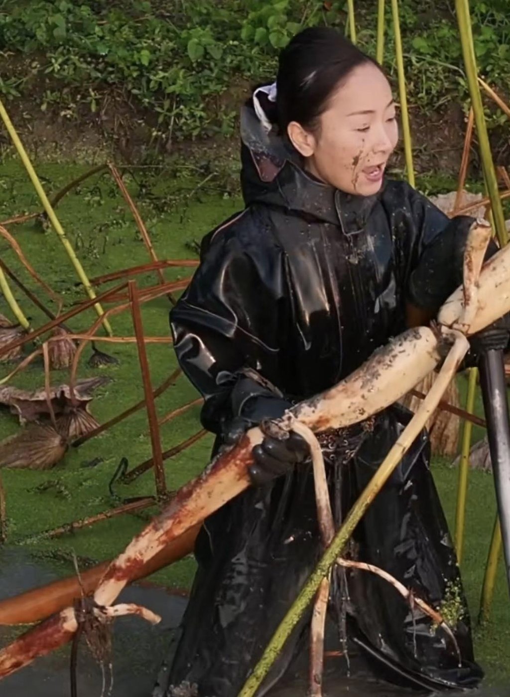 Businesswoman Hu Qin gets down to some hard physical labour in a lotus pond. Photo: Baidu Businesswoman Hu Qin gets down to some hard physical labour in a lotus pond. Photo: Baidu