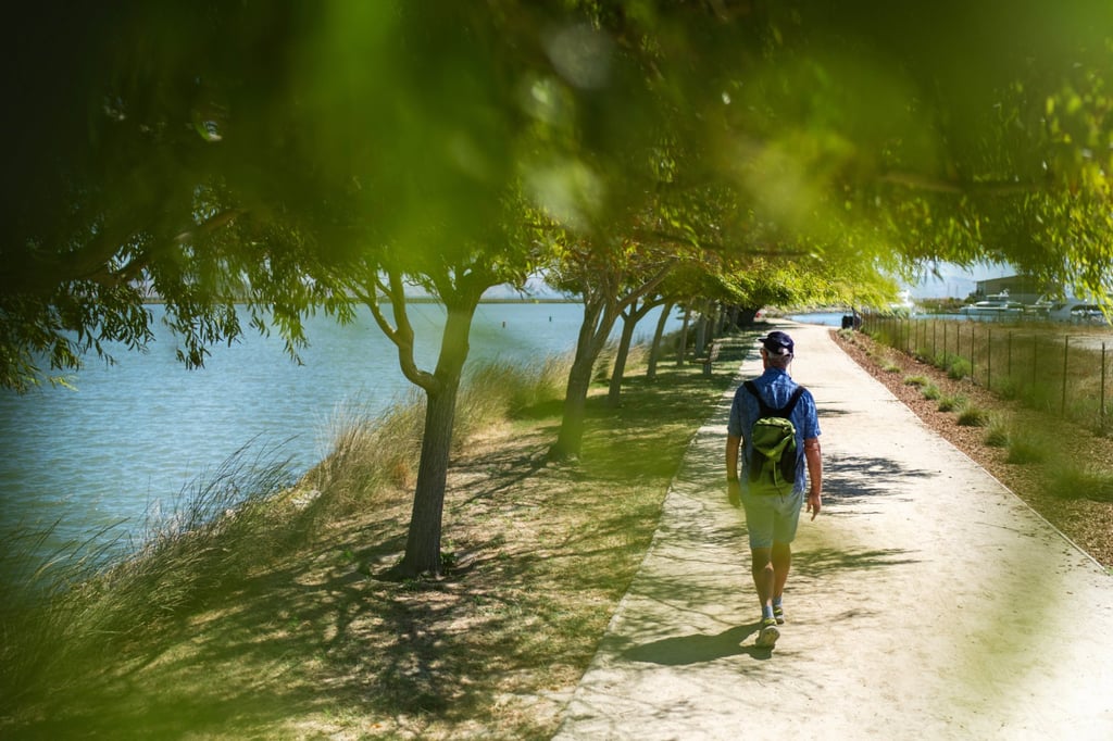 Morrill walks along San Francisco Bay, where he used to give guided kayak tours before being struck by autoimmune encephalitis, in Redwood City, California. Photo: AP