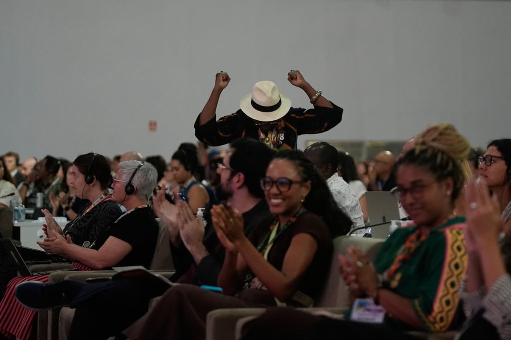 A delegate reacts at the approval of an article during a plenary session at the Cop30 climate summit in Belem, Brazil, on Saturday. Photo: AP