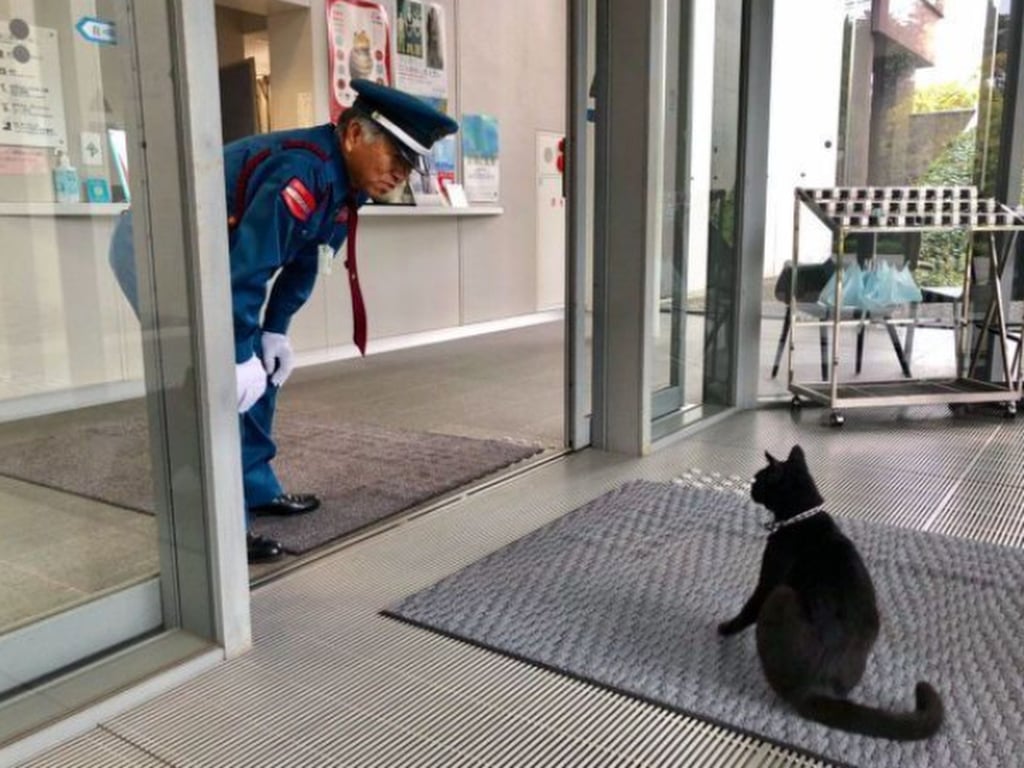 Ken-chan used to wait patiently at the entrance to the museum before security guard Sadao Umayahara welcomed him inside. Photo: X/ bijutsu1 Ken-chan used to wait patiently at the entrance to the museum before security guard Sadao Umayahara welcomed him inside. Photo: X/ bijutsu1