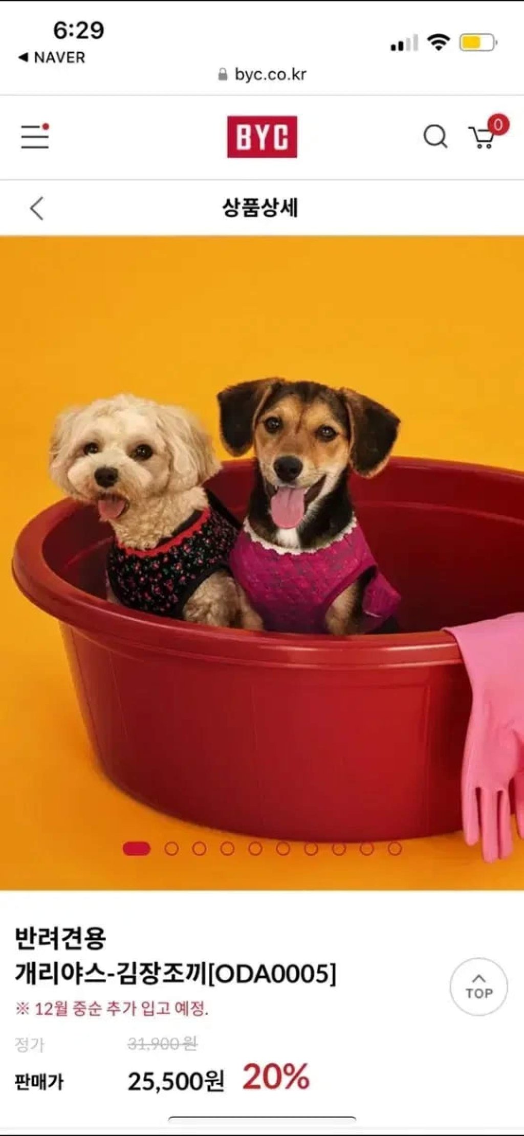 You can even get a mini kimjang vest for your dog. Photo: BYC