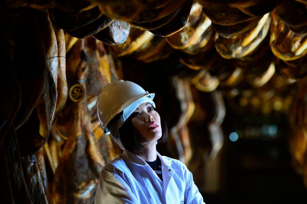A Chinese buyer looks at Iberian ham hanging from a ceiling at a factory in the Spanish town of Jabugo. File photo: AFP