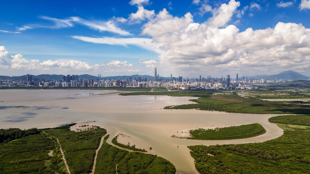 A still from China’s Wild Guangdong shows Futian Mangroves Nature Reserve near Shenzhen. Photo: BBC Studios