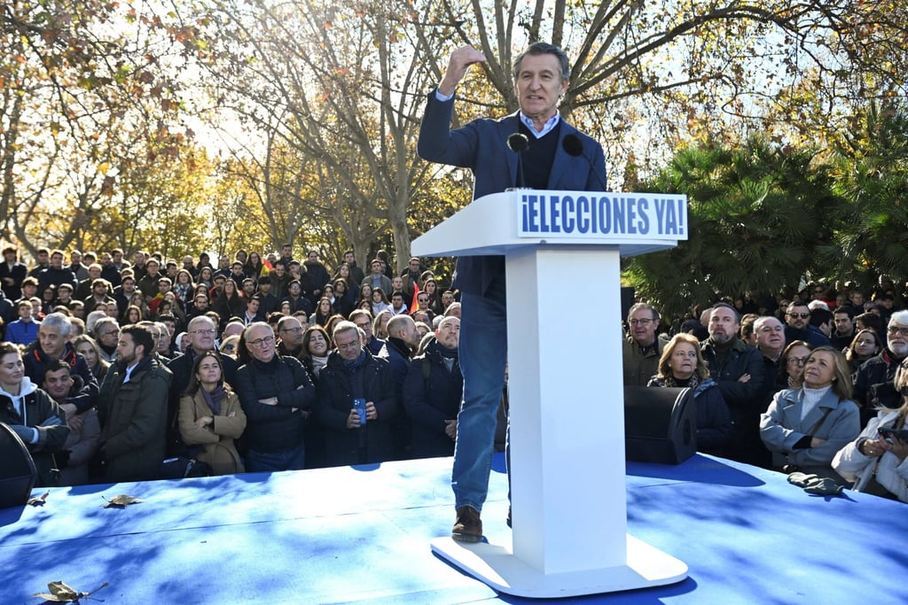 Spain’s opposition leader Alberto Nunez Feijoo speaks during the demonstration. Photo: Reuters