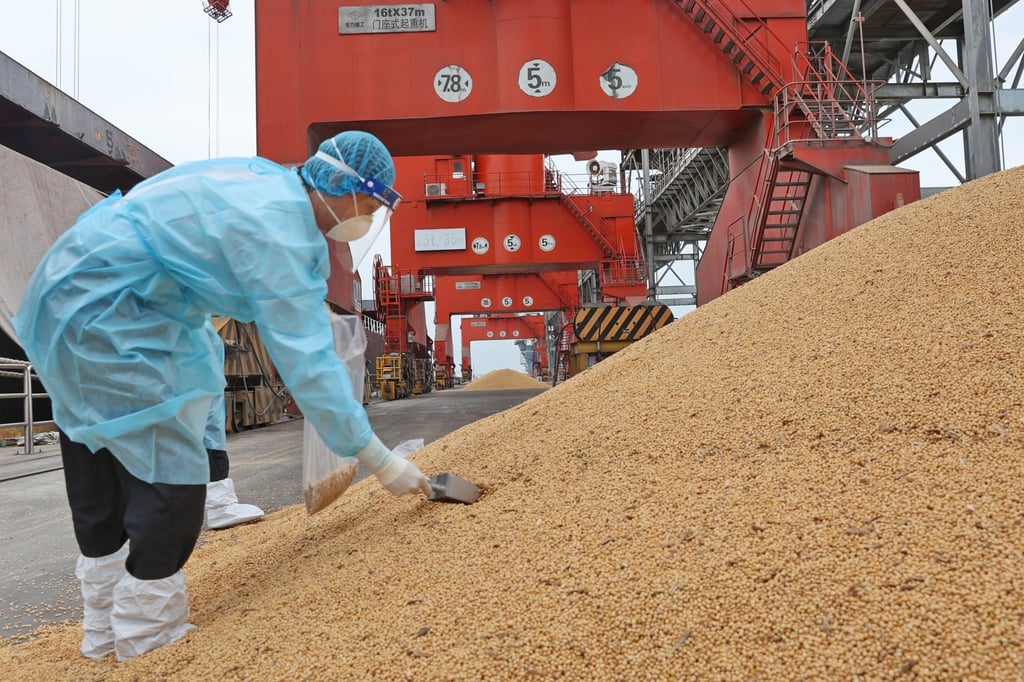 China has halted some soybean imports from Brazil due to contamination issues. Photo: Getty Images